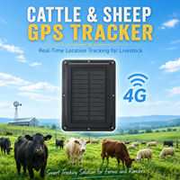 Traceur GPS solaire 4G pour bétail, chevaux, moutons, avec GPS et Beidou, pour moto espionne