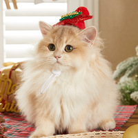 Chapeau et Écharpe en Peluche pour Chat et Chien, Décoration de Noël pour Chiot et Chaton, Accessoires pour Animaux de Compagnie