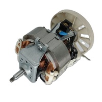 Mélangeur de hachoir à viande universel haute vitesse personnalisé 7015 210V 300W monophasé micro moteur à courant alternatif industriel antidéflagrant CCC