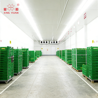 Chambre froide pour la logistique, grande chambre froide logistique, équipement de congélation à accès piétonnier, chambre froide