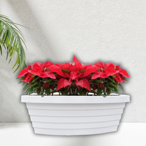 Durable PP Plastic Boat Planter Pot for Home and Office Decoration Factory <b>Supply</b> with Wholesale Price and OEM/ODM Service - Product Image 1