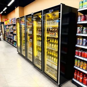 Réfrigérateur à vin électrique de luxe en acier inoxydable autoportant pour le stockage de vin domestique, refroidisseurs et refroidisseurs - Product Image 6