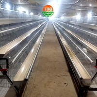 Ferme avicole commerciale un type 500 oiseaux cage de couche automatique pour l'élevage de poules pondeuses