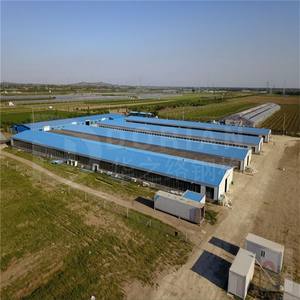 Bâtiments préfabriqués façonnés poulailler Double étage poulailler Double Decker poulailler - Product Image 2