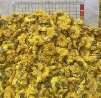 Vente en gros de fleurs de chrysanthème séchées 100% naturelles et saines pour le thé en vrac