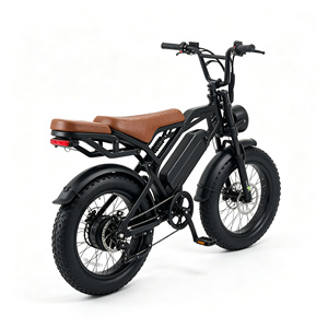 Electric Bicycle <b>Kit</b> E Electric Bike City 20 Inch Fat <b>Tire</b> Cargo Electric Dirt Bike Bicicleta Eléctrica Elektrische Fiets - Product Image 2