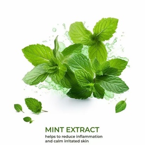 卸売価格 食品グレード 天然ミント葉 メントール ミントエキス - Product Image 4