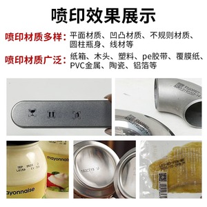 Imprimante jet d'encre portable Leo DX5 à solvant écologique pour le marquage industriel sur carton, métal, plastique, bois, verre - Product Image 5