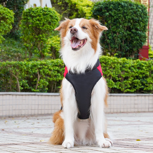<strong>Pet</strong> Products Wholesale <strong>Pet</strong> Clothing Cat <strong>Dog</strong> <strong>Vest</strong> Thickened Warm Cotton Large Size <strong>Dog</strong> Clothing Luxury - Product Image 5