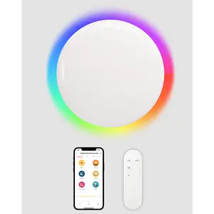 YEELIGHT-Luz led de techo inteligente Xiaomi Arwen 550C, regulable, compatible con Control de voz, funciona con Amazon Alexa para sala de estar