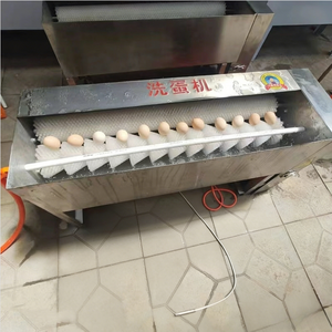 آلة تنظيف بالفرشاة لمعالجة الأغذية، آلة غسيل البيض الأوتوماتيكية - Product Image 2