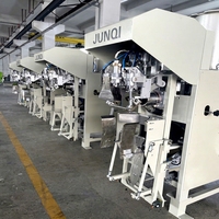 Machine de remplissage et d'emballage semi-automatique CE 10-50 kg pour sacs de produits chimiques avec contrôle PLC et scelleuse ultrasonique haute précision