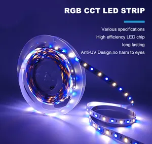 Led Strip Light Smd 5050 Led Strip New Arrivals Anti-UV Design 12v 24v Smd 5050 Color Changing Rgb / Rgbw / Rgbww Led Light Strip