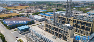 Neo-Mentol CAS 3623-51-6 - Product Image 6