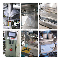 Machine d'emballage de sachets oreillers préformés pour suppléments protéinés de 0,5 kg et 1 kg, solution de fabrication et de scellage de pochettes