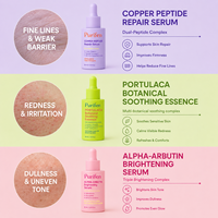 Collection de sérums faciaux multi-effets Centella Alpha Arbutin GHK-Cu Chitosan Ferment Portulaca Sérum hydratant pour le visage pour tous les types de peau