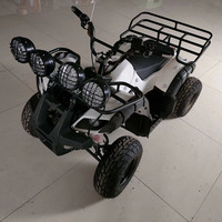 2025 hors route pas cher ATV électrique alimenté 4 roues motrices 48V batterie plage Buggy Quad vélo à vendre