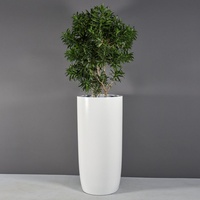 Ensemble de pots de fleurs modernes en métal, argent, noir, bronze, design minimaliste, jardinières d'intérieur, finition chromée