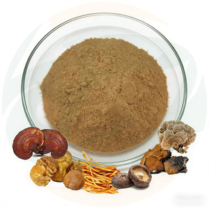China-Herb Supply - Mezcla de Extracto de Hongos Potente 9 en 1: Melena de León, Cordyceps, Reishi, Chaga, Cola de Pavo y Maitake en Polvo - Product Image 1