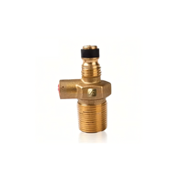 Structure de sécurité et de décharge de pression pour valve de bouteille de GPL en laiton D20, spécification standard