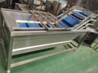 Commerciële groente-fruit-garnalen reinigings- en bubbelfruitwasmachine