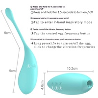 Produits sexuels pour adultes : Ensemble de vibromasseurs à succion télécommandés, incluant un œuf vibrant et un vibromasseur à succion 'Honey Bean', pour la masturbation féminine