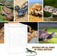Boîtier d'exposition personnalisé pour reptile Terrarium en acrylique avec bouton magnétique pour araignée, reptiles, lézard