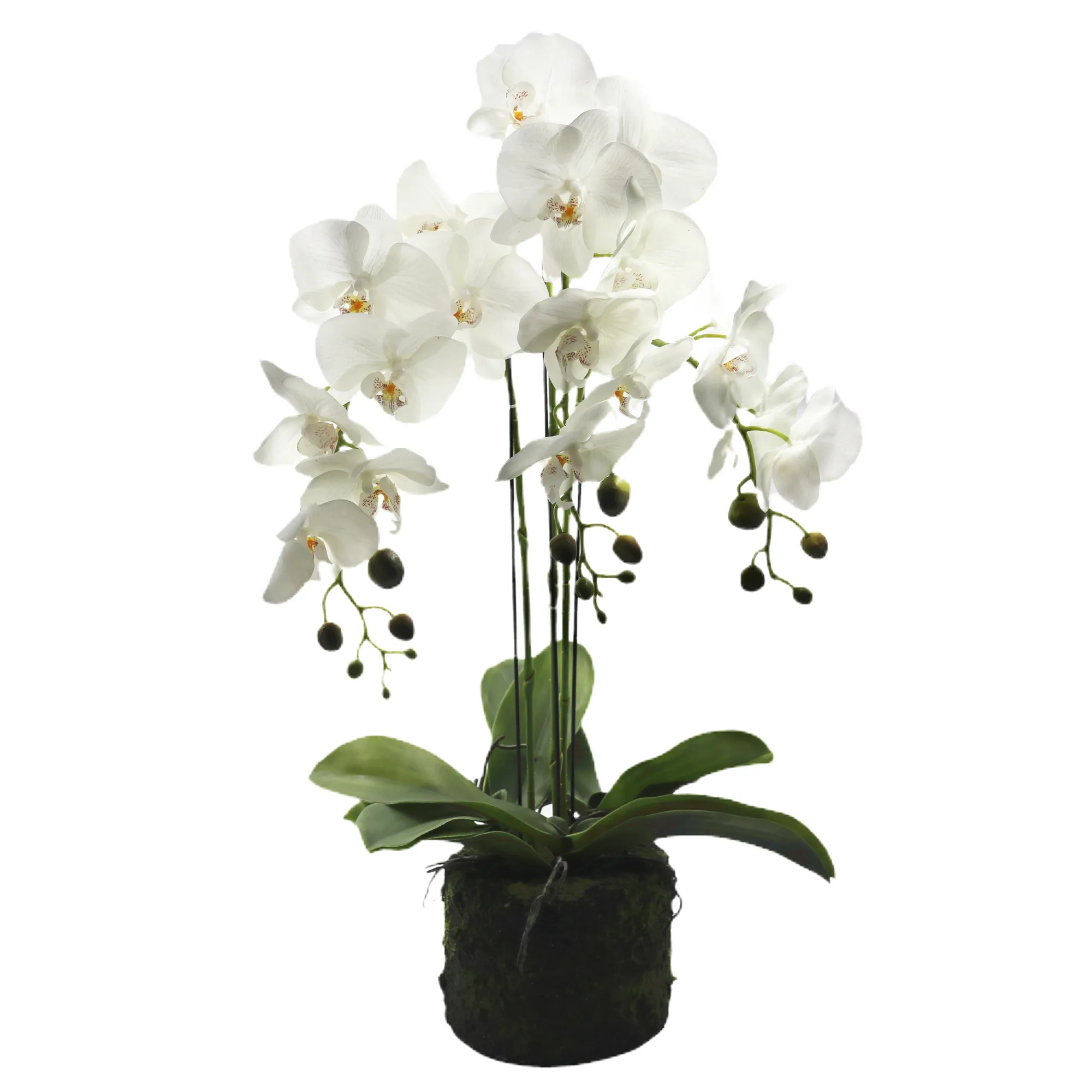 Горшок орхидеи с 3 ветвями reach touch, фалаенопсис, горшок для дома, декоративные белые искусственные орхидеи, цветы орхидеи