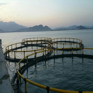 HDPE Circular Offshore <b>Fish</b> Cage High Buoyancy <b>Floating</b> Net Cage For Saltwater Aquaculture - Product Image 3