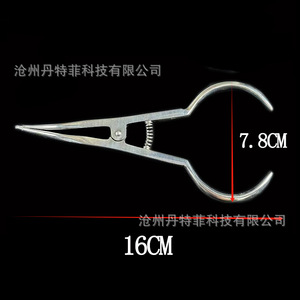 Pince de placement de séparateurs orthodontiques 26584, argentée, instrument chirurgical dentaire manuel - Product Image 4