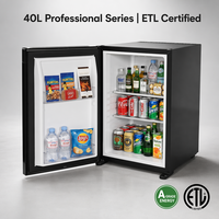 Minibar Eléctrico Portátil Profesional de 40L para Habitaciones de Hotel, Enfriador de Bebidas de Grado A con Eficiencia Energética
