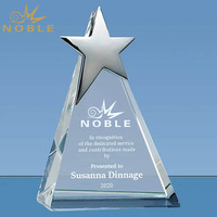 Trophée en cristal en forme d'étoile pour la reconnaissance, texte gravé personnalisé, qualité supérieure, récompense professionnelle