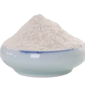 Polvere di cipolla disidratata con estratto di cipolla bianca fresca di origine cinese