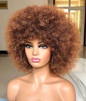 Perruque afro bouclée élégante pour femmes Cheveux humains et mélange de fibres à haute température 200% densité Perruque fabriquée à la machine