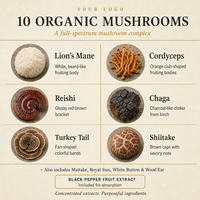Mélange de poudre d'extraits de champignons multiples Crinière de lion, Reishi, Cordyceps, Shiitake, Maitake, Formule à rapport personnalisé, Vente en gros OEM