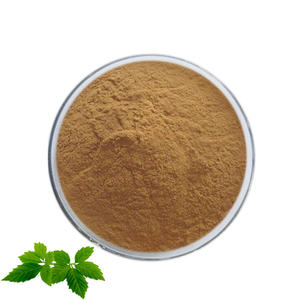 ISO HALALメーカー<span class=keywords><strong>100%</strong></span> 天然セブンリーフ婦人科エキスGynostemma Pentaphyllumハーブ植物エキスGypenosides20 % - Product Image 1