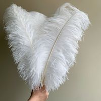 Plumes d'autruche blanches de qualité supérieure, plumes colorées pour accessoires de scène, décoration de mariage, décoration Internet
