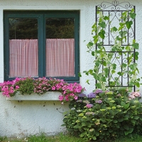 Treillis de jardin en métal UNHO: Lot de 2 vignes en pot légumes fleurs patio treillis métallique panneaux de grille plante supports d'escalade