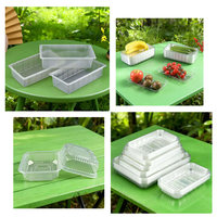 Fully Automatic Plastic Phone Packaging Box Pizza Boxes Plastic Making Machine