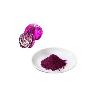 100% Semprot Pengeringan Bubuk Jus Kubis Ungu, Bubuk Jus Kubis Merah Larut Air - Product Image 2
