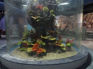 Decoración para Acuario con Paisaje de <span class=keywords><strong>Rocalla</strong></span> y Coral, Simulación de Planta Acuática, Arrecife de Coral y Paisaje Acuático, Coral de Resina para Pecera - Product Image 4