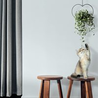 Porte-plante suspendu vintage bohème en forme de cœur, pot détachable de 6 pouces, métal thermolaqué, support mural/plafond, intérieur/extérieur