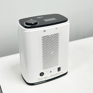 Si votre gorge est bouchée de mucus, essayez cet appareil de thérapie naturelle au sel de roche pour dégager vos voies respiratoires - Product Image 2