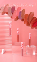 Nouveau style beauté, best-seller : Coffret cadeau magnétique de 12 gloss à lèvres mats, anti-transfert, longue tenue, rouge à lèvres liquide