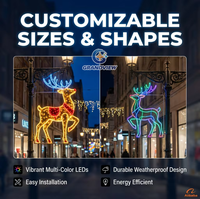 Luces Decorativas LED 2D Comerciales para Postes de Calle, Motivos Navideños para Resorts, Parques Temáticos, Ciudades, Festivales y Exhibiciones