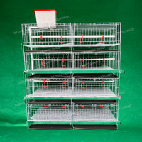 Cage d'élevage pour poussins d'un jour, conçue pour les fermes avicoles