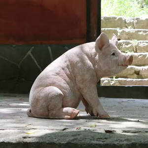 ガーデンレジン工芸品 ファイバーグラス製豚の置物 動物の装飾 かわいい等身大レジンガーデン豚の置物 - Product Image 1