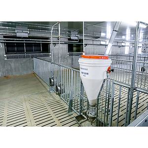 <span class=keywords><strong>Comedero</strong></span> Automático <span class=keywords><strong>para</strong></span> <span class=keywords><strong>Cerdos</strong></span> <span class=keywords><strong>de</strong></span> Granja, Seco y Húmedo, <span class=keywords><strong>Tolva</strong></span> <span class=keywords><strong>de</strong></span> Diferentes Capacidades, Mejor Precio - Product Image 1