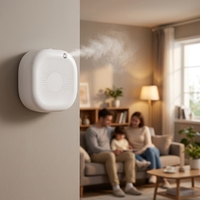 Diffuseur d'huiles essentielles sans eau pour appareils électroménagers, machine à nébulisation, diffuseur d'huiles essentielles d'aromathérapie mural pour hôtel