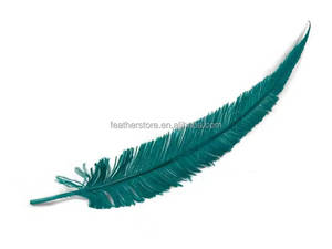 Plumas de Avestruz <span class=keywords><strong>Nando</strong></span> Recortadas de 50-55 cm (18-20 Pulgadas) a Precio de Fábrica, Buena Calidad, para Decoraciones de Carnaval, Accesorios de Disfraces - Product Image 5